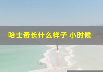 哈士奇长什么样子 小时候